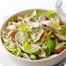 Chicken Salad Recipes APK