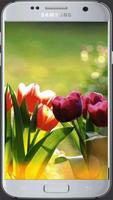 HD Taze Çiçekler Ekran Görüntüsü 3