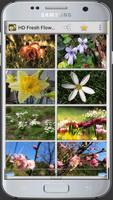 HD frische Blumen Plakat