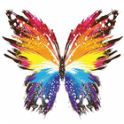Butterfly Live WP أيقونة