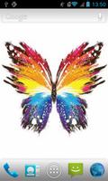 Butterfly Live WP پوسٹر