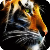 Golden tiger Live WP icon