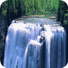 Forest waterfall Live WP simgesi