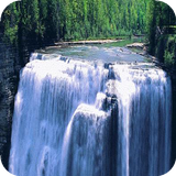 Forest waterfall Live WP أيقونة