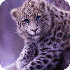 Snow leopard live wallpaper icône