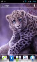 Snow leopard live wallpaper poster