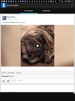 โหลดวีดีโอ MP4 สำหรับเฟสบุ๊ค Affiche