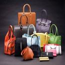 Ladies Hand Bag Designs APK