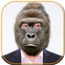 Animal Face Changer APK