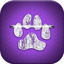 Paw Print Lock Screen APK