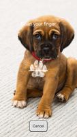 Paw Print Lock Screen poster
