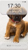 Paw Print Lock Screen screenshot 2