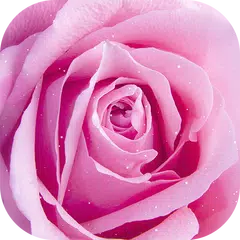 Rosa Rose Live Hintergrund APK Herunterladen