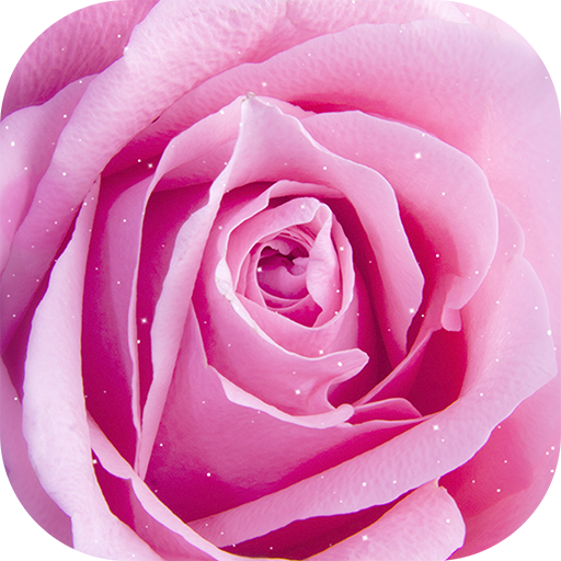 Pink Rose Live Wallpapers APK for Android – Download Pink Rose Live Wallpapers APK Latest Version from Pink Rose Live Wallpapers APK for Android – Download Pink Rose Live Wallpapers APK Latest Version from