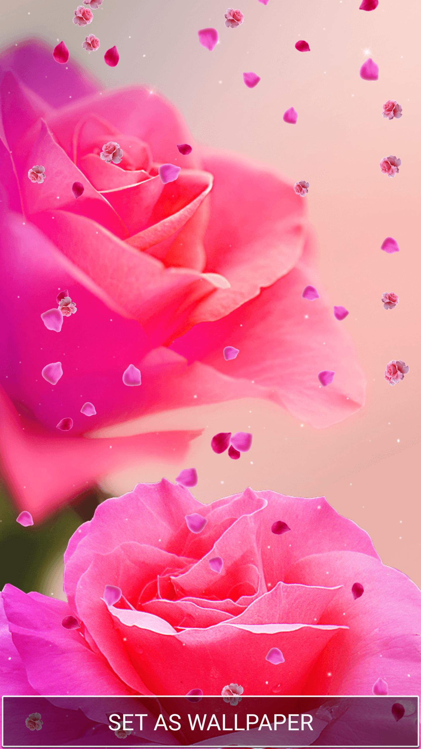 动态壁纸粉红色的玫瑰安卓下载 安卓版apk 免费下载