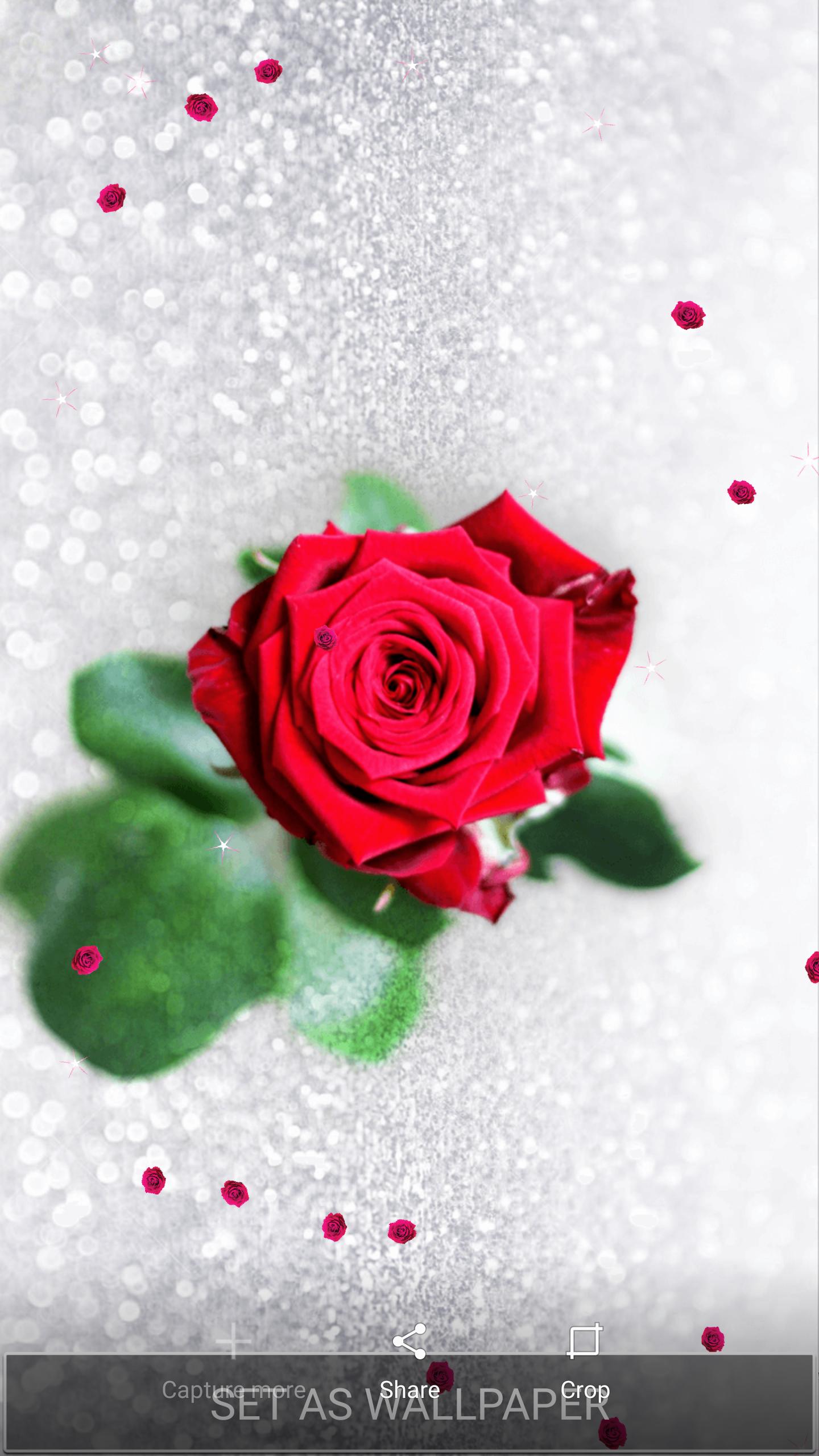 Rose Moving Wallpaper Glitter For Android Apk Download