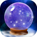 What Is My Past Life Animal APK