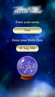 What Is My Past Life Animal poster