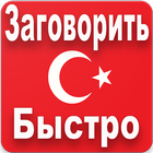 Турецкий для Начинающих ícone