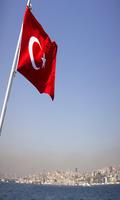 Турецкий для Начинающих Cartaz