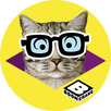 Boomerang Pet Photo Booth APK