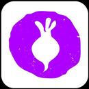 Turnip APK