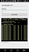 DNS debugger تصوير الشاشة 1
