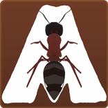 Ant Adventure Game
