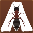 Ant Adventure Game 图标
