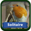 Solitaire Trees