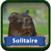 Solitaire Pets