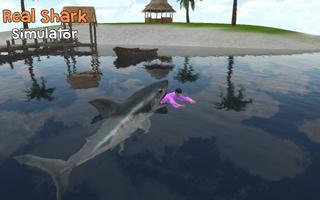 Real Shark Simulator plakat