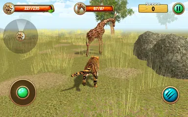 Wild Tiger Simulator 3D APK 下載