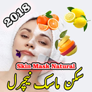 Skin Face Mask Natural : Urdu APK