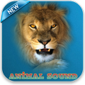 Animal Sounds