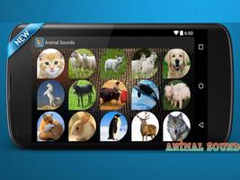 Animal Sounds screenshot 1