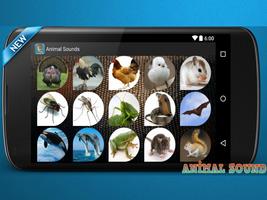Animal Sounds screenshot 3