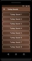 Turkey Sounds ポスター