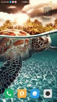 برنامه‌نما Turtle Wallpaper عکس از صفحه