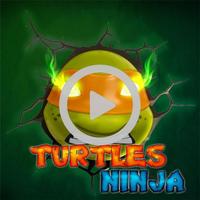 ninja adventure turtle постер