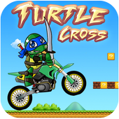 Turtle cross 🚩 icon