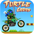 Turtle cross đŠ