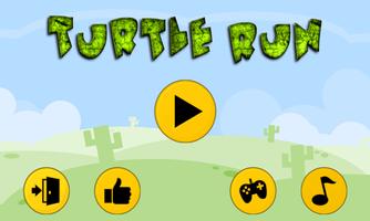 Kids Turtle Run poster