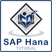 SAP HANA Offline Tutorial