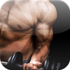 Mass Building Workouts Muscle icône