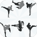 Taekwondo Training step APK