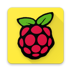 Icona Raspberry Pi Tutorial