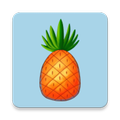 PPAP Launchpad