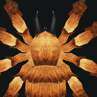Spider Splatter ikona