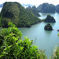 QuangNinh Halan